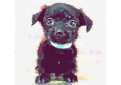 障がい者アート千葉由佳里さん 絵画