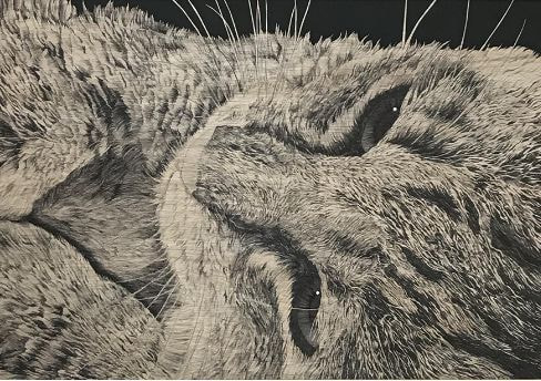 障がい者アート山下重人さん 絵画